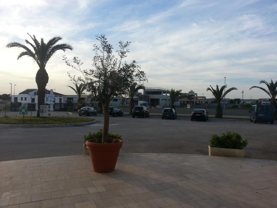 מלון גרבינה אין פוליה Casa Per Ferie Benedetto XIII מראה חיצוני תמונה